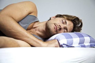 <a href='http://m.kisslarc.com/smz/' target='_blank' title='失眠癥'><span style='color: #0000ff'><strong>失眠癥</strong></span></a>