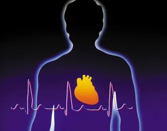 <a href='http://m.kisslarc.com/smz/' target='_blank' title='失眠癥'><span style='color: #0000ff'><strong>失眠癥</strong></span></a>