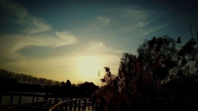 <a href='http://m.kisslarc.com/smz/' target='_blank' title='失眠癥'><span style='color: #0000ff'><strong>失眠癥</strong></span></a>