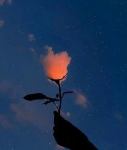 長春<a href='http://m.kisslarc.com/smz/' target='_blank' title='失眠癥'><span style='color: #0000ff'><strong>失眠癥</strong></span></a>治療醫(yī)院