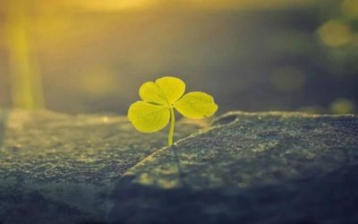 長春<a href='http://m.kisslarc.com/smz/' target='_blank' title='失眠癥'><span style='color: #0000ff'><strong>失眠癥</strong></span></a>治療醫院