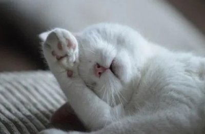 �L��<a href='http://m.kisslarc.com/smz/' target='_blank' title='ʧ�߰Y'><span style='color: #0000ff'><strong>ʧ�߰Y</strong></span></a>�ί��tԺ